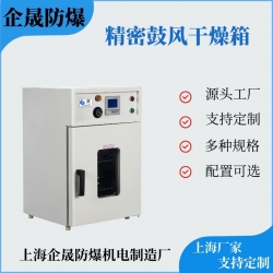 精密鼓风干燥箱