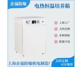 电热恒温培养箱